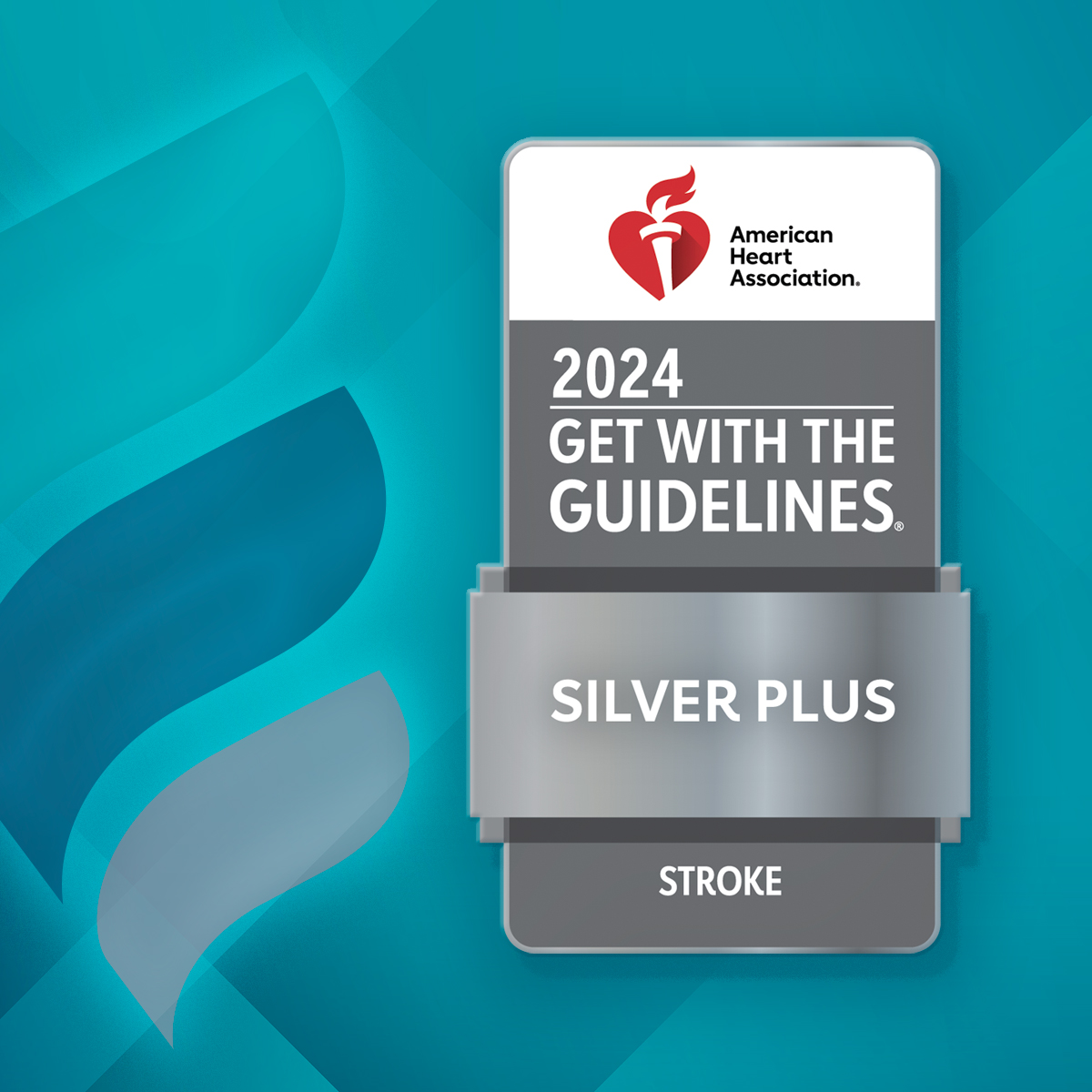 Get With The Guidelines®-Stroke Silver Plus Award Winner